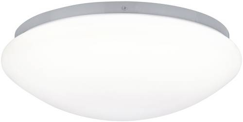 Paulmann 70980 LED-Außenwandleuchte LED 10W Weiß