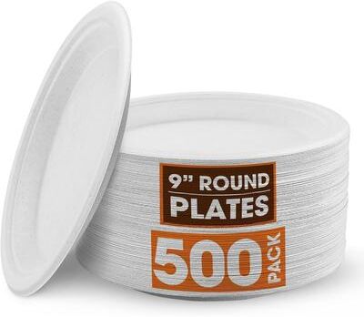 Cheer Collection 9 inch Disposable Plastic Plates - 500 Pack