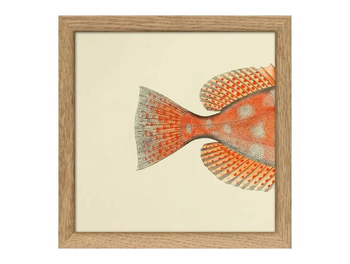 Bild mit Rahmen Botanical, Dybdahl, off-white/beige/orange, Papier