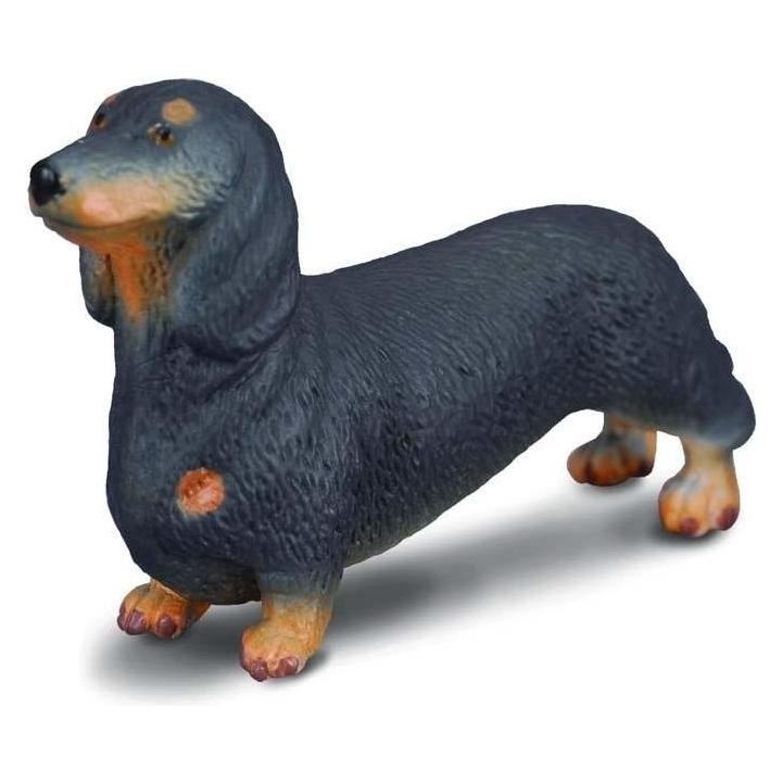 Collecta Dackelhund (M1188185)
