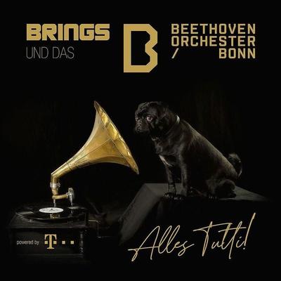 Brings & Beethoven Orchester Bonn: Alles Tutti! - Brings,Beethoven Orchester Bonn, CD, 0602438933914