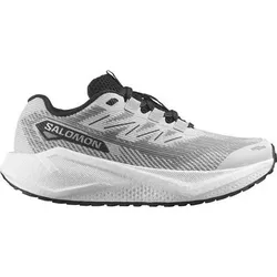 SALOMON Damen Laufschuhe SHOES AERO BLAZE 3 GRVL W LunRoc/Wht/Bla, Größe 38 in Silber Silber
