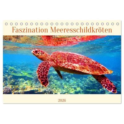 Faszination Meeresschildkröten (Tischkalender 2026 DIN A5 quer), CALVENDO Monatskalender