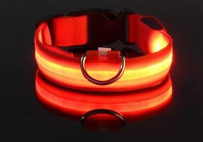 Inspired Finds Nylon LED Glow Dog Leash & Collar Set Night Safety Reflective Light Up Pet Gear For Walks After Dark red xs
