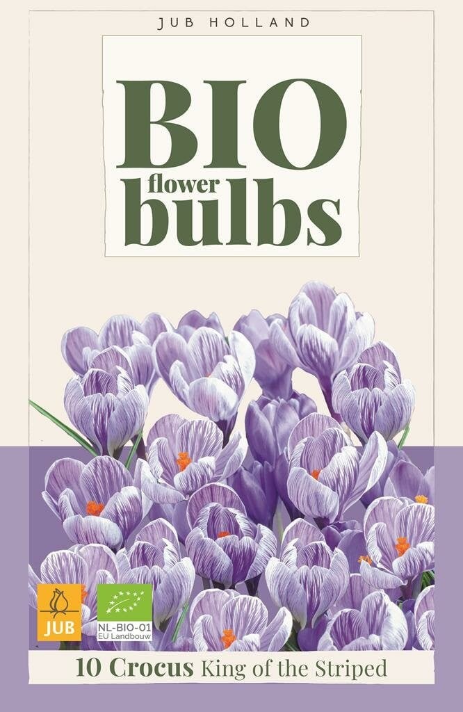 Bio Crocus King of the Striped 10 bollen
