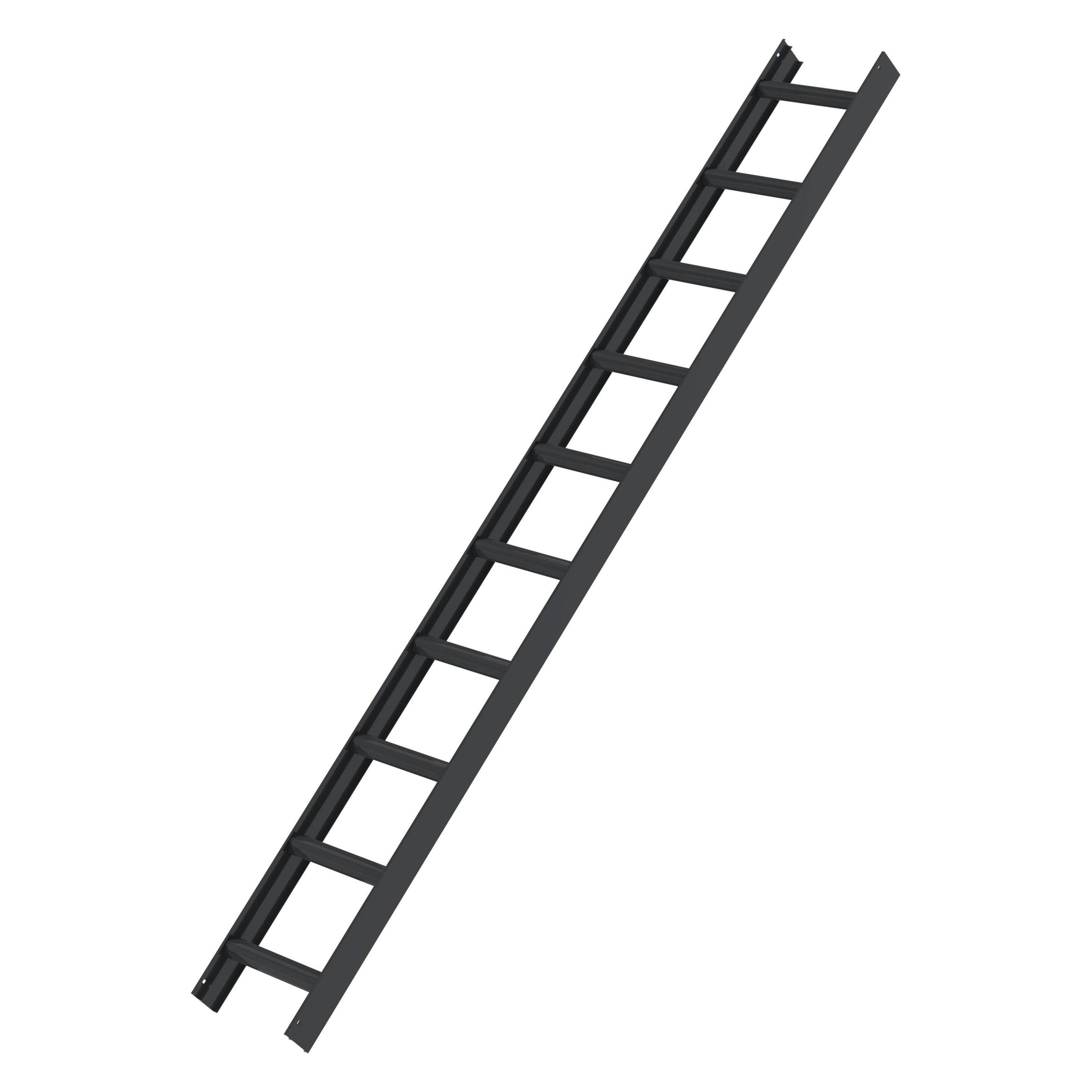 Munk Dachleiter Anthrazitgrau 10 Sprossen (280 cm) (011198)