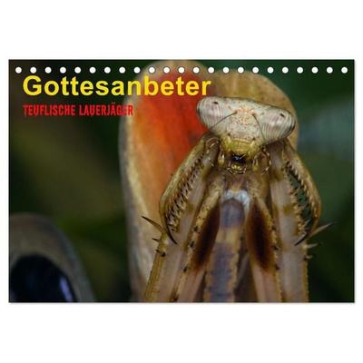 Gottesanbeter - Teuflische Lauerjäger (Tischkalender 2027 DIN A5 quer), CALVENDO Monatskalender