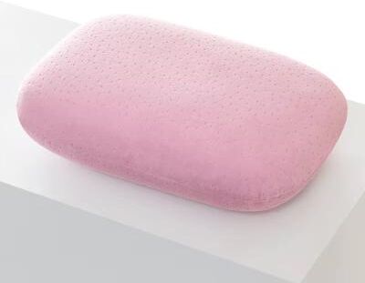 Inspired Finds Memory Foam Travel Neck Pillow Slow Rebound Cervical Support & Nap Cushion velvet(pink) 13.39x9.45in