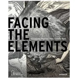 Facing the Elements, Fachbücher von Samantha Cataldo, Olivia J. Stone