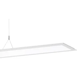 Performance in Light LED-Pendelleuchte 3112739