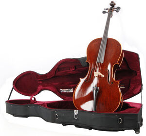 Alfred Stingl by Höfner AS260 C3/4 Celloset