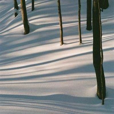 Fables - Isabel Pine, CD
