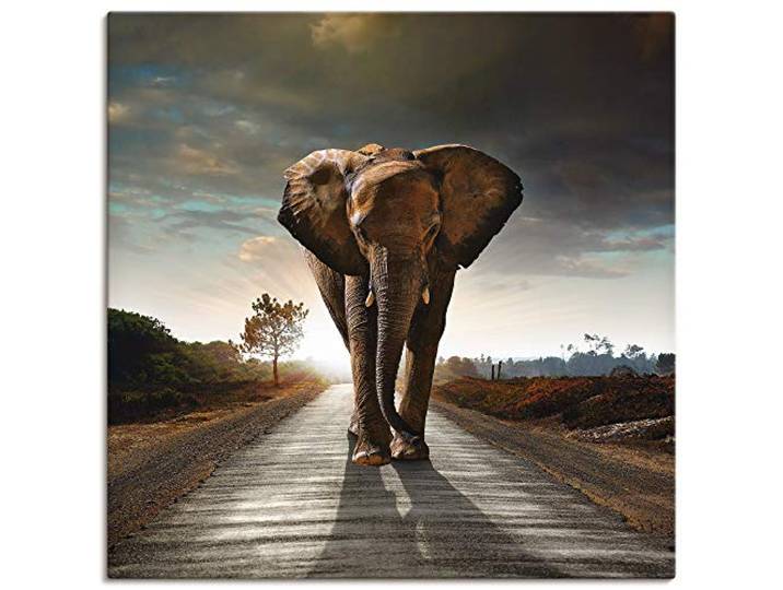 ARTLAND Wanddeko Leinwand Bilder Wandbild 70x70 cm Tiere Wildtiere Elefant Fotografie Braun Ein Elefant läuft auf der Straße T9QO