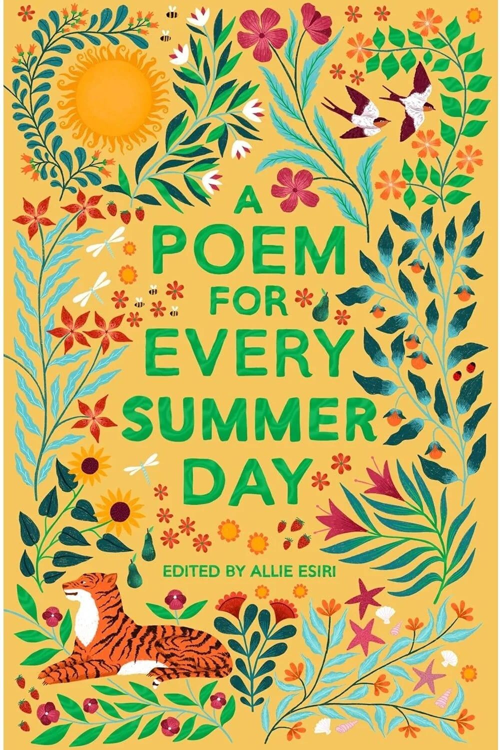 Macmillan Children's Books A Poem for Every Summer Day by Allie Esiri - Paperback Poetry Anthology - Ages 9-11 - Book 3 in A Poem for Every Day and Night of the Year Series