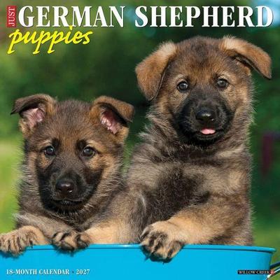 German Shepherd Puppies 2027 12 X 12 Wall Calendar