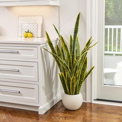 Regency International "53"" Potted Sansevieria Plant"