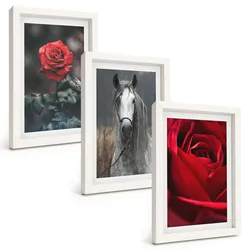 BILDER SET 3er Set - 20x30 cm Weißer Rahmen - Rote Rosen, Pferdegrau, Welt