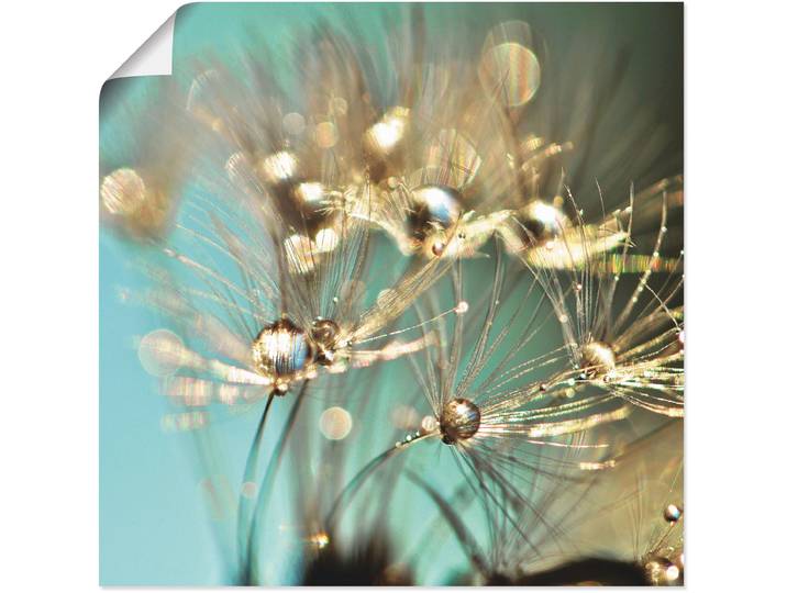 Poster ARTLAND Pusteblume glänzendes Gold , blau (farbe bild(er): blau), B:30cm H:30cm, Bilder, Poster, ohne Rahmen