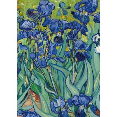 Notizbuch A5 blanko Hardcover - 100 Seiten - Motiv Schwertlilien (Irises) Vincent van Gogh - 90g/m² - Papier, Gebundene Ausgabe von Notizbuch
