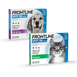 FRONTLINE Sparset 1 Set
