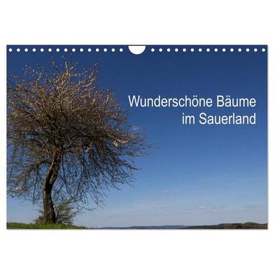 Wunderschöne Bäume im Sauerland (Wandkalender 2027 DIN A4 quer), CALVENDO Monatskalender
