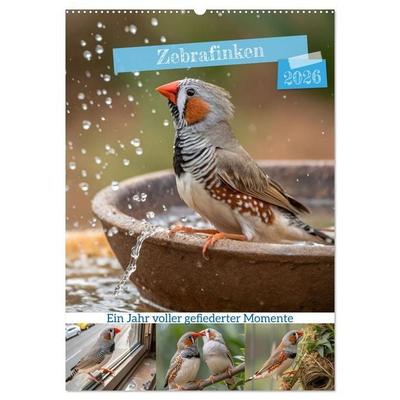 Zebrafinken - Ein Jahr voller gefiederter Momente (Wandkalender 2026 DIN A2 hoch), CALVENDO Monatskalender