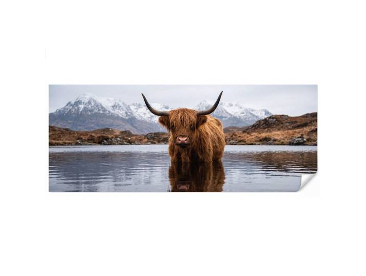 OnlyWow Tapete - Schottischer Hochländer - Braun - Wasser - 500x200 cm, Papier, Rechteckig, 500x200 cm, Tapeten & Wandverkleidungen, Vliestapeten