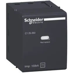 Schneider Electric Ersatz-Schutzmodul 16317