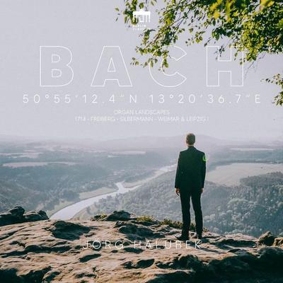 Bach Organ Landscapes:Freiberg - JörgHalubek, CD