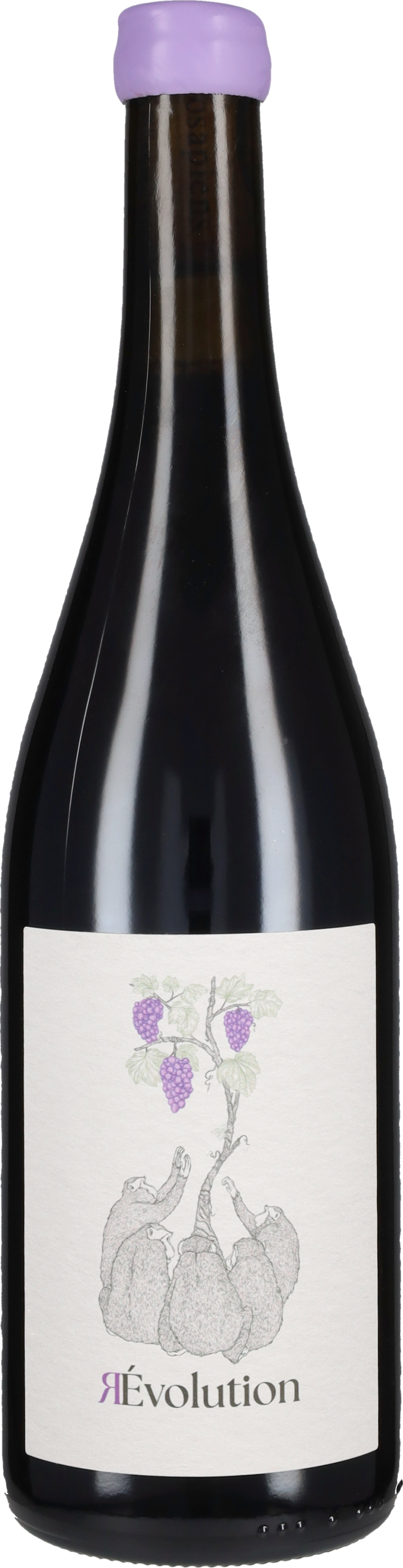 Malbec 'R-Evolution' Oenosapiens 2023