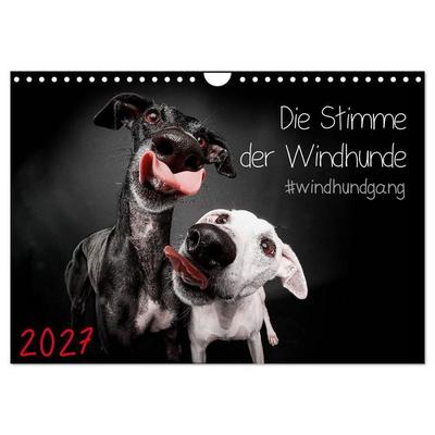 Die Stimme der Windhunde (Wandkalender 2027 DIN A4 quer), CALVENDO Monatskalender