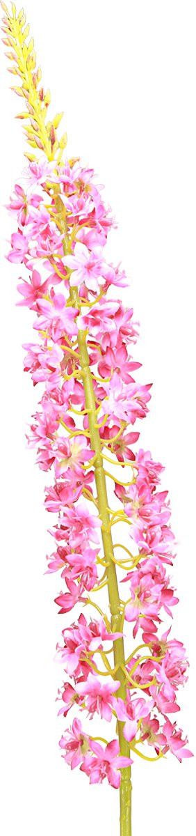 Steppe kaars Desert Tail Roze 106 cm