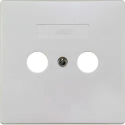 Wisi Abdeckplatte 2-Loch DW42 10789