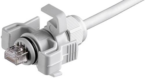 Telegärtner 100023013 RJ45-Steckerset Variante 6 100023013 Stecker, gerade Pole: 8P8C Lichtgrau 1St.