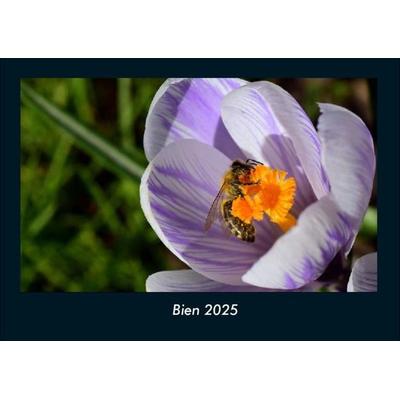 Bien 2025 Fotokalender DIN A4