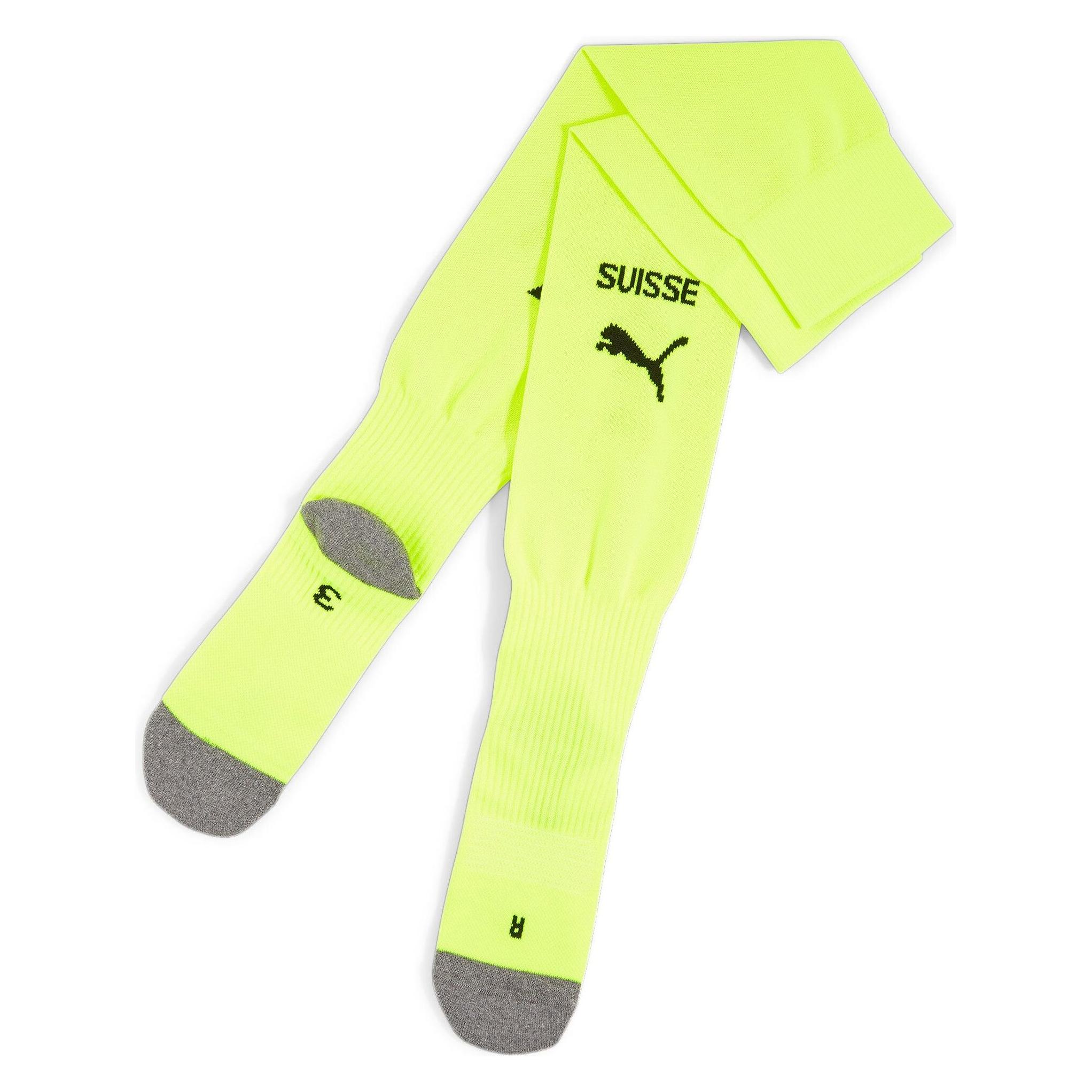 Puma Team SFV Stacked Logo Socks Replica (47 - 49) (774462_90)