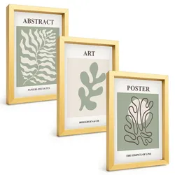 BILDER SET 3er Set - 20x30 cm Goldrahmen - Poster mit Pflanzenmustern von Matisse