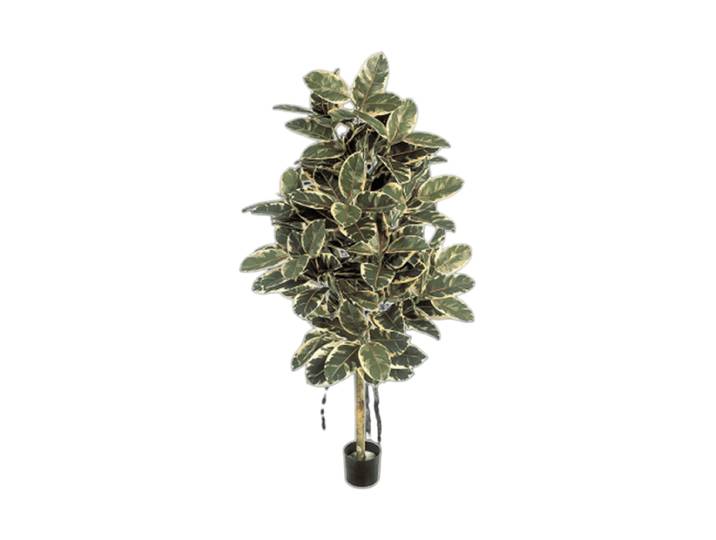 Lebensechte Kunstpflanze „Ficus Elastica Variegated Tree“ Ø 65 x 140 cm Grün Baq Design