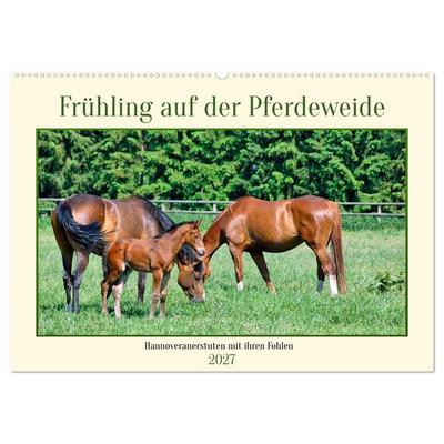 Frühling auf der Pferdeweide (Wandkalender 2027 DIN A2 quer), CALVENDO Monatskalender