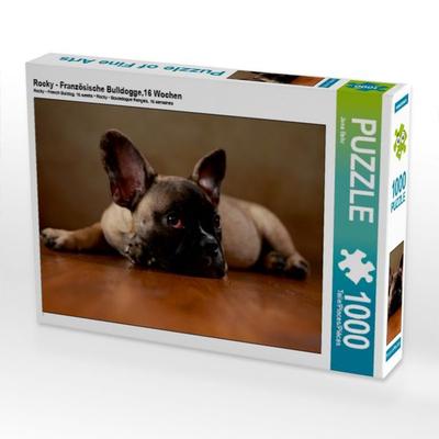 CALVENDO Puzzle Rocky - Französische Bulldogge,16 Wochen 1000 Teile Puzzle quer | 1000 Teile Lege-Größe 64 × 48 cm Foto-Puzzle für glückliche Stunden