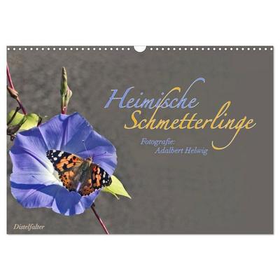 Heimische Schmetterlinge (Wandkalender 2027 DIN A3 quer), CALVENDO Monatskalender