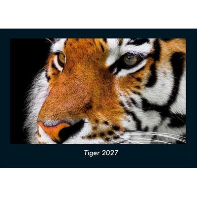 Tiger 2027 Fotokalender DIN A4