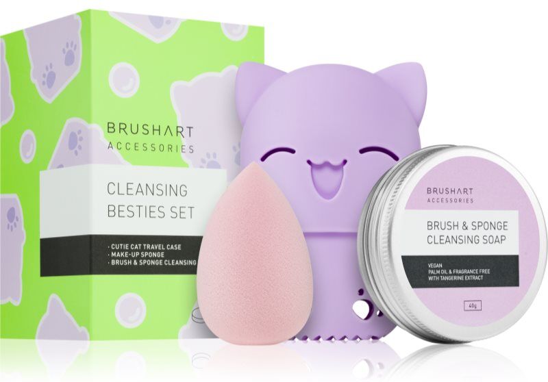 BrushArt Accessories Cleansing besties set kit voyage