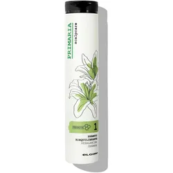 Elgon, Shampoo, Haarpflege Primär Ausgleichend mit Ton (Flüssiges Shampoo, 1000 ml)