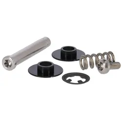 Campagnolo, Schalthebel + Bremshebel