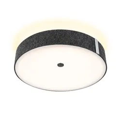 Paulmann 79986 LED Deckenleuchte 3-Step-Dim Malika 2700K 2300lm 230V 29W Anthrazit
