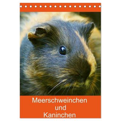 Meerschweinchen und Kaninchen Familienplaner (Tischkalender 2027 DIN A5 hoch), CALVENDO Monatskalender