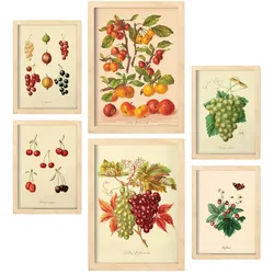 POSTER Set Mit 6 Beeren In Vintage A3 & A4 Rahmen Aus Hellem Holz