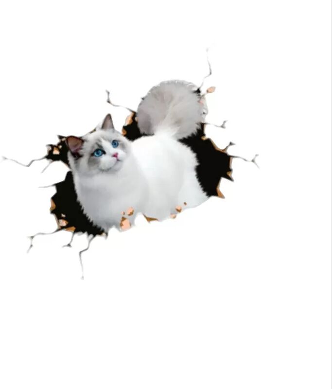 INF Kreative Auto 3D Stereo Große Perserkatze Aufkleber (2 Stück)