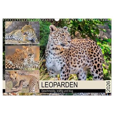 Leoparden. Geschmeidig, kräftig und klug (Wandkalender 2026 DIN A3 quer), CALVENDO Monatskalender